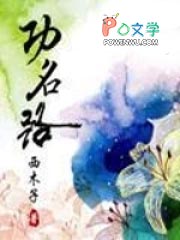 功名路完结了没